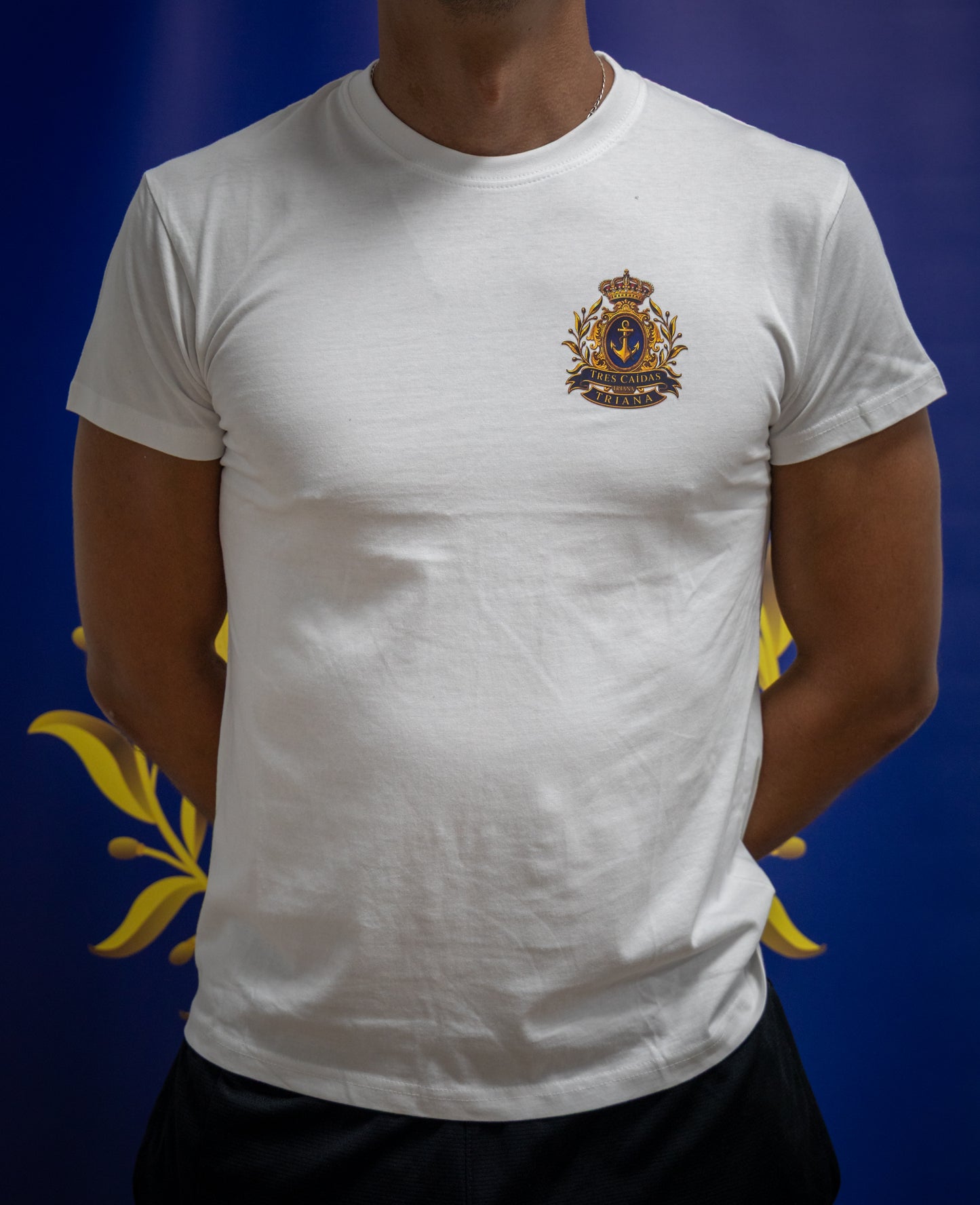 Camiseta